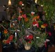 atlos-display-2a