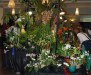 atlos-display-3a
