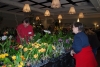 odoms-orchids-sales-area