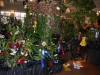 atlos-display-1
