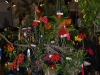 atlos-display-2a