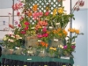 mbf-display