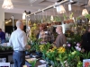 mbf-sales-area