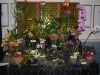 ne-ga-display
