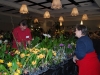 odoms-orchids-sales-area