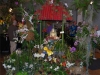 steve-arthur-display