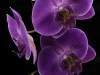 134256575-3y4eefsq