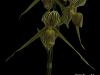 134256587-ksjns5uv-20113209