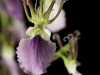 134256589-i8zqdrzf-20113211copy