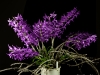 134256593-h2y8uppq-20113213copy